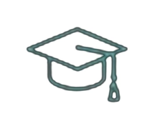 Academia